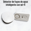 Detector de Fugas de Agua Wi-Fi