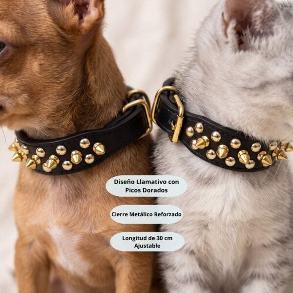 3 Collar con Picos y Tachuelas Doradas para Perro Pequeño o Gato 30cm