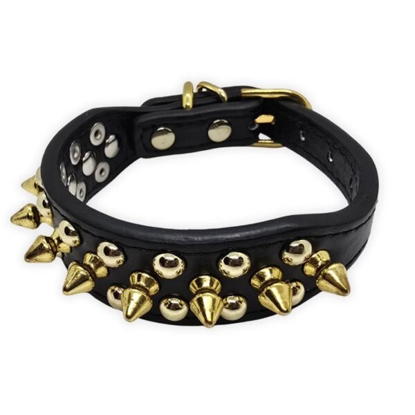 5 Collar con Picos y Tachuelas Doradas para Perro Pequeño o Gato 30cm