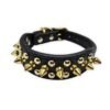 6 Collar con Picos y Tachuelas Doradas para Perro Pequeño o Gato 30cm