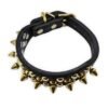 7 Collar con picos para perro