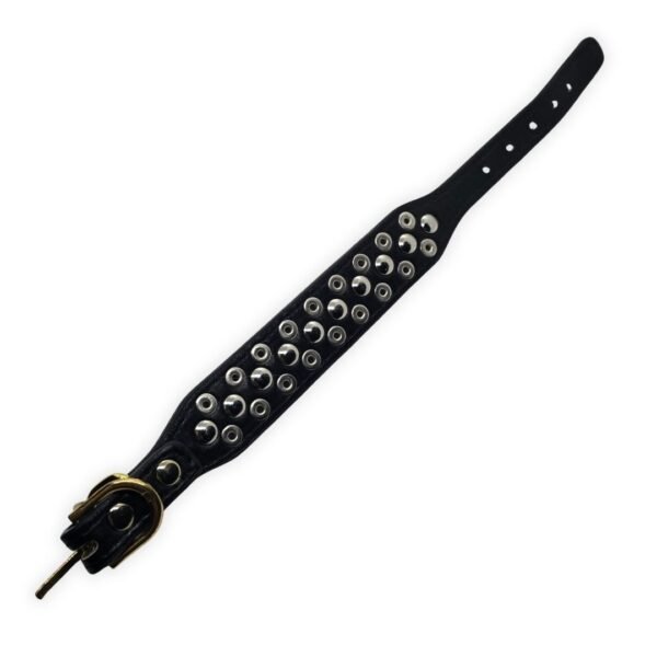 9 Collar con Picos y Tachuelas Doradas para Perro Pequeño o Gato 30cm